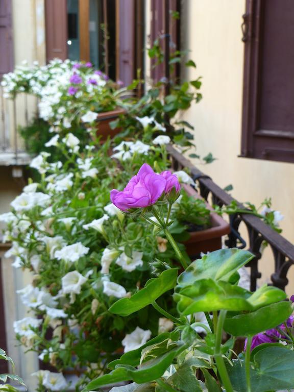 Protezione Della Giovane - Female Hostel Verona Exterior photo